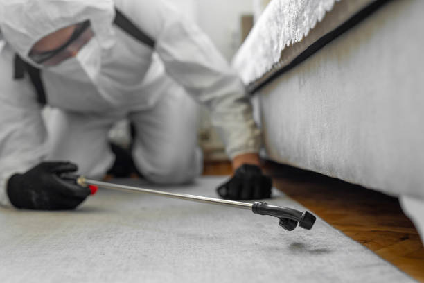 Professional Bed Bug Control technician working in Shenandoah County County, VA